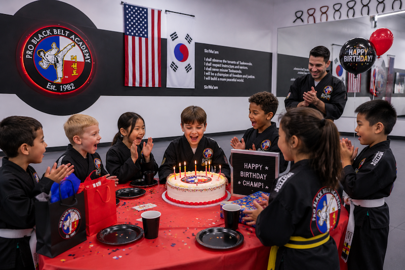 Martial Arts Birthday Parties at Professional Black Belt Academy - McKinney in McKinney