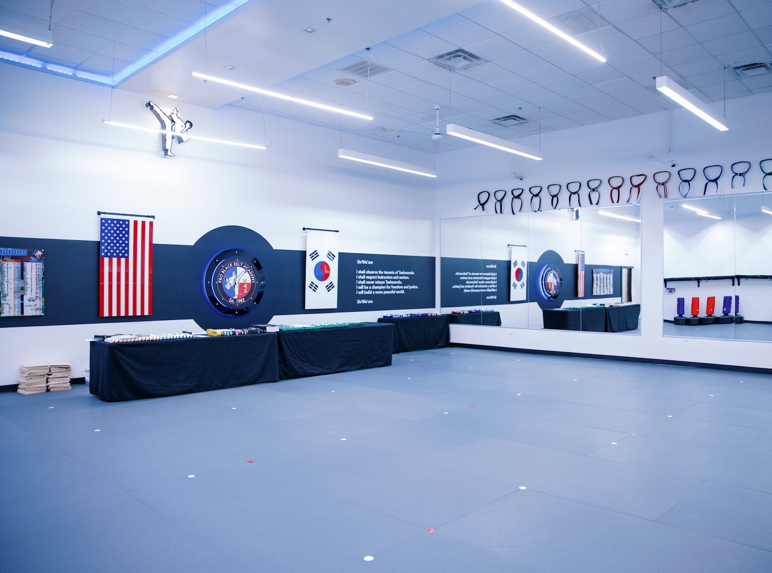 Professional Black Belt Academy - McKinney